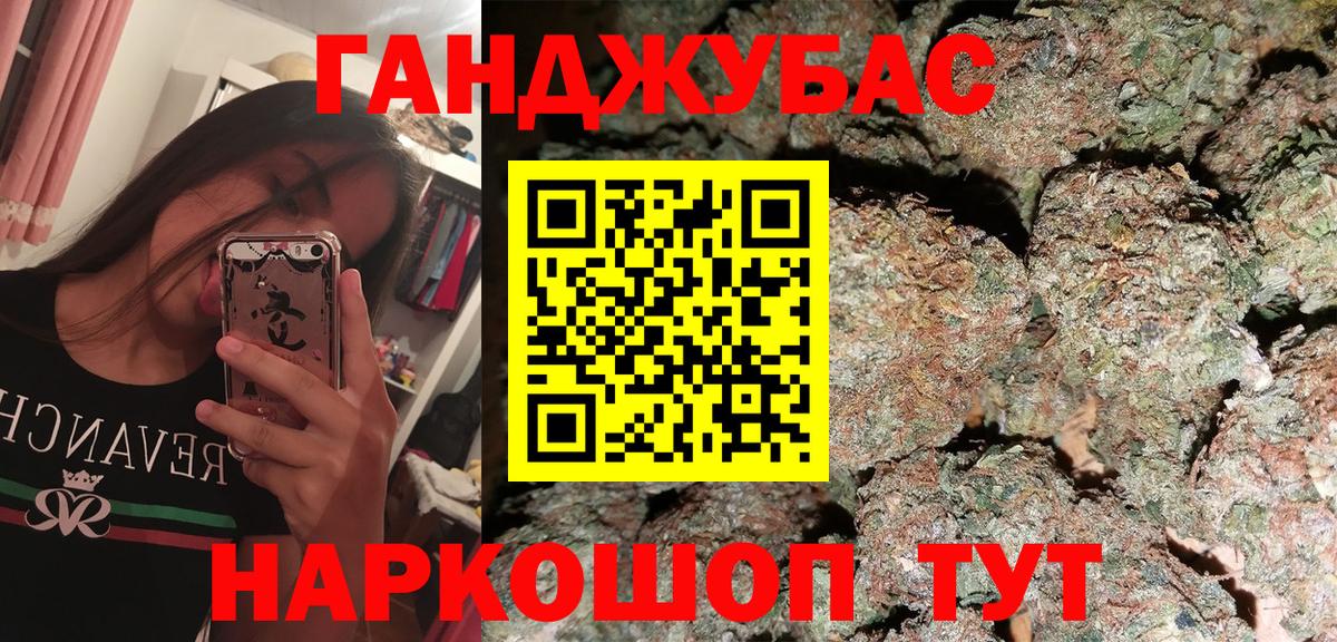 Конопля планчик Отрадный
